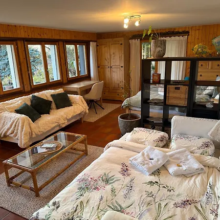 La Licorne - Cozy Alpine Hideaway In Diogne Apartment